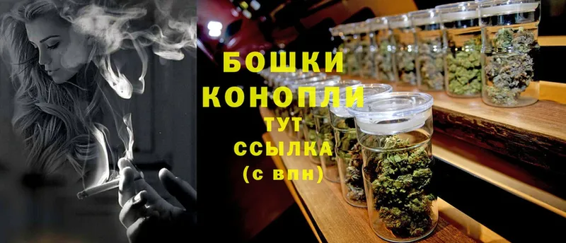 купить  цена  Алзамай  Конопля THC 21% 